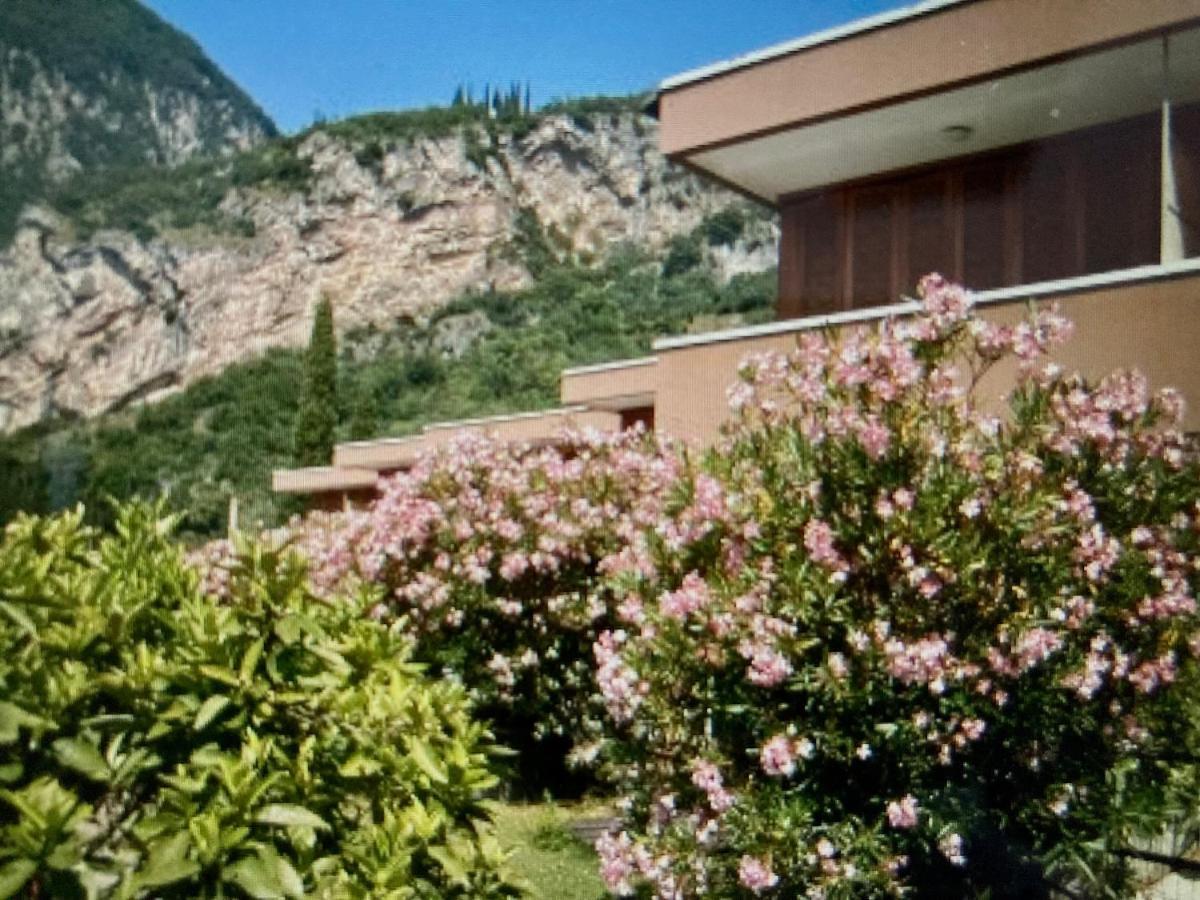 Appartamento Peppino Mit Seeblick Und Pool Riva del Garda Dış mekan fotoğraf